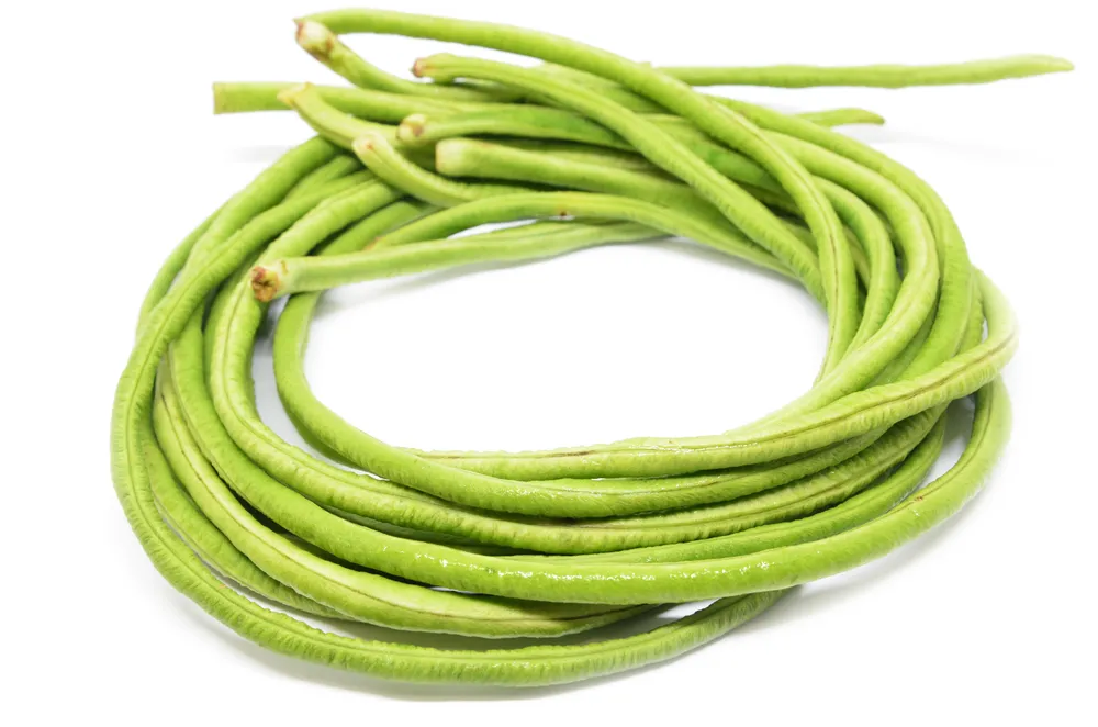 Thaise Kouseband