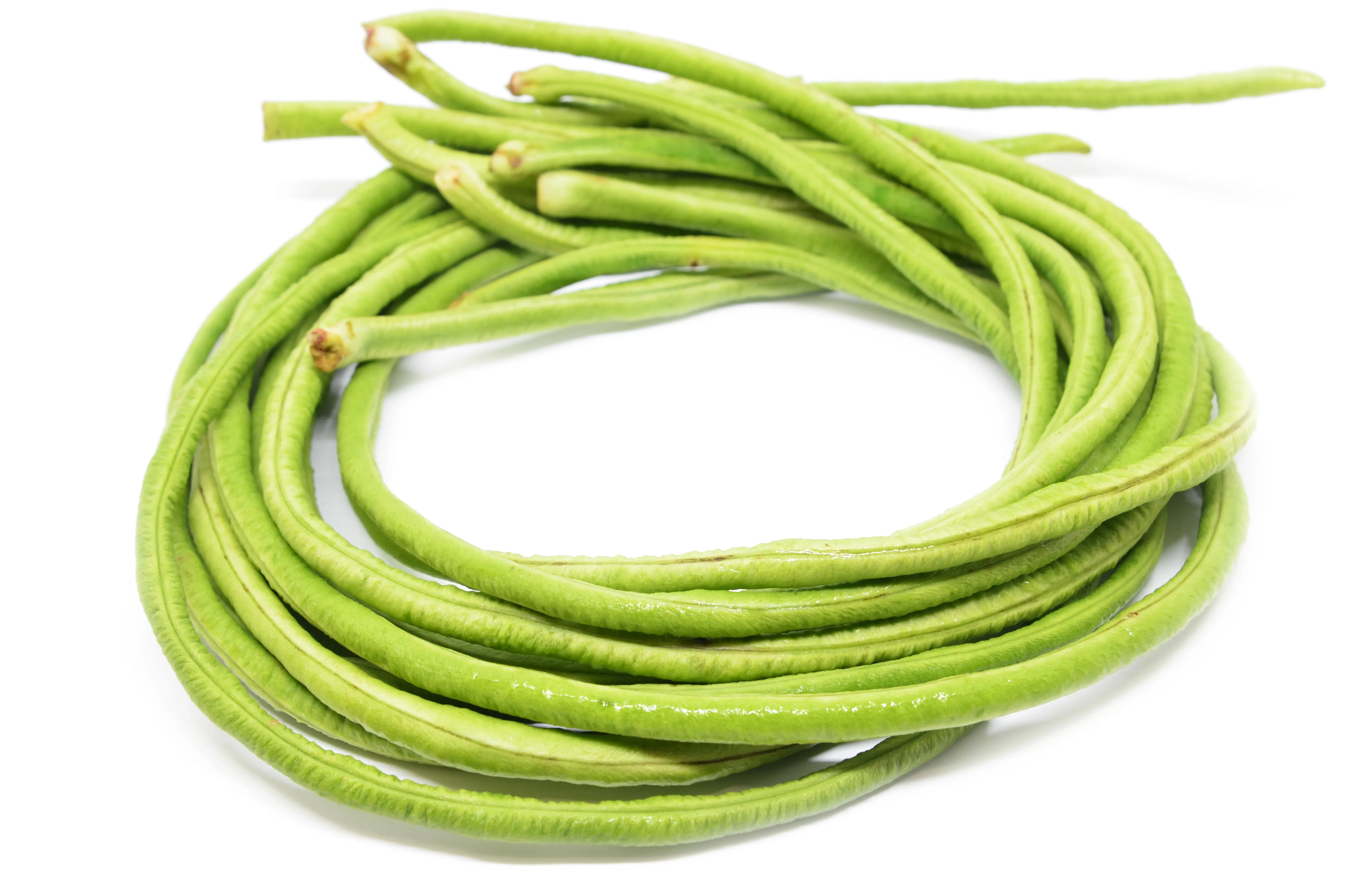 Thaise Kouseband